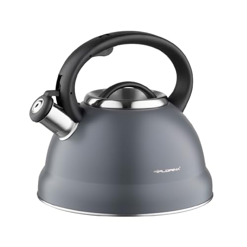 FLORINA Wasserkessel (2,5 l) | Edelstahl...