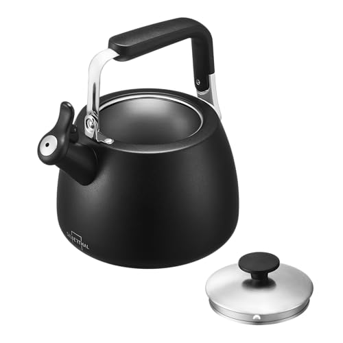 SILBERTHAL Wasserkessel Induktion 2,8l –...