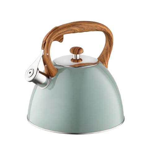 FLORINA Wasserkessel (2,5 l) I Edelstahl...