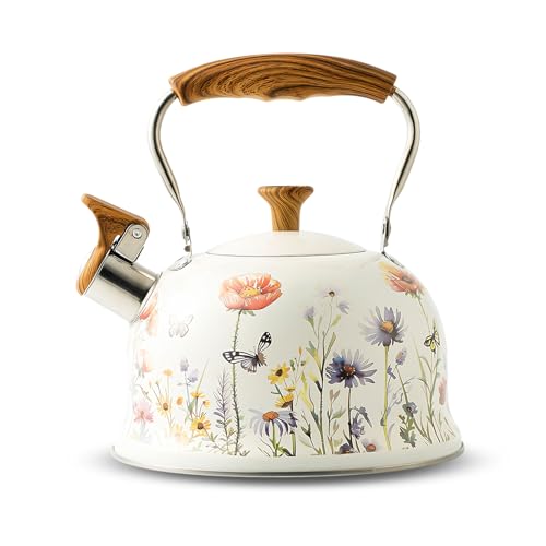 Wasserkessel aus Edelstahl (3L),...